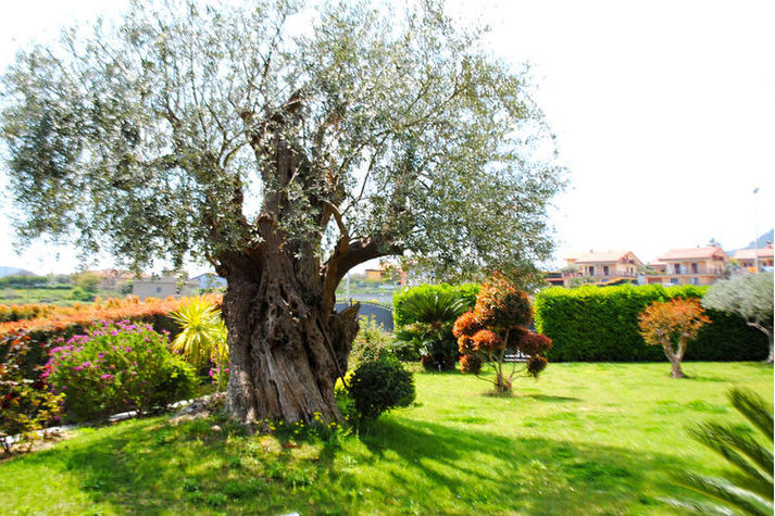 GardenSummer