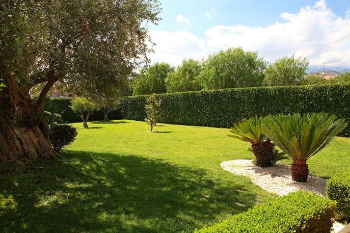 GardenSummer