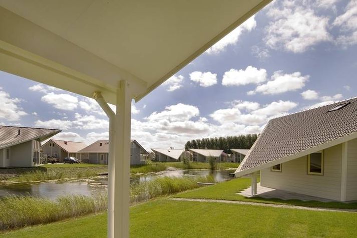 ViewSummer