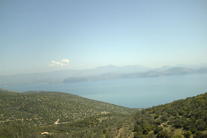 ViewSummer