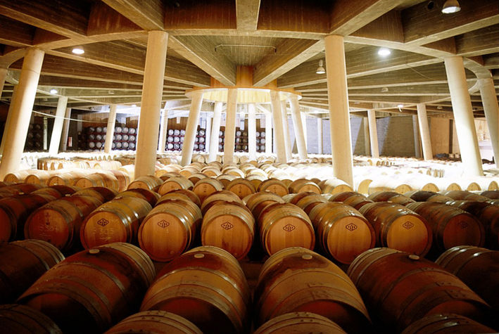 Wine tours
Wine tours