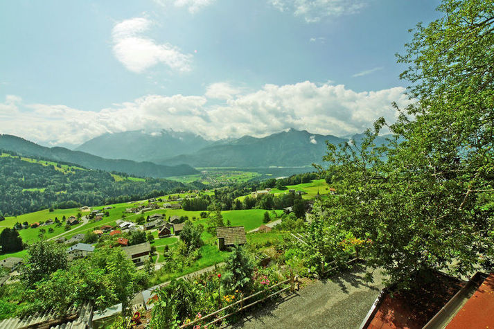 ViewSummer