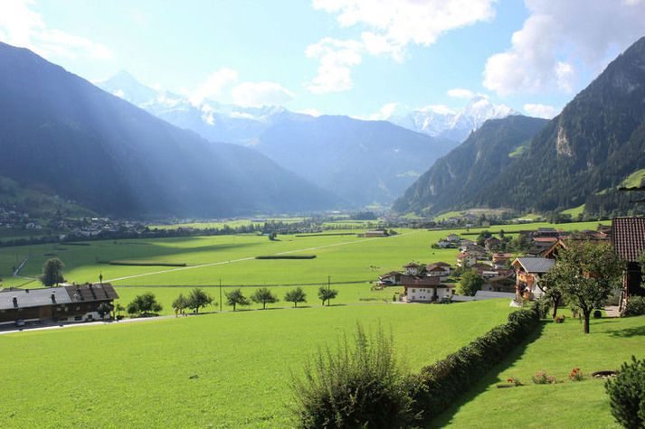ViewSummer