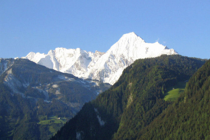 ViewSummer
