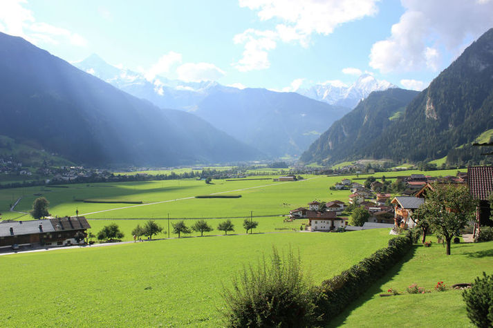 ViewSummer