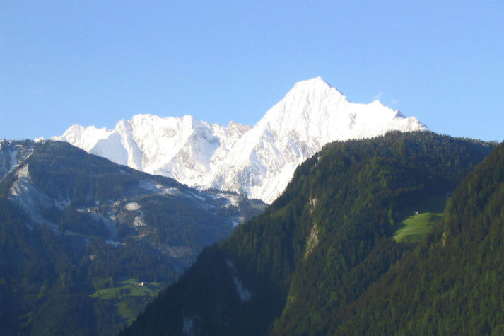 ViewSummer