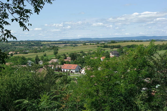 ViewSummer