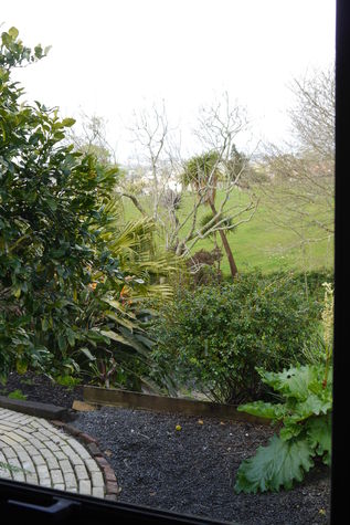 The view from the bedroom window. You look out over the garden and 5ha of working farm in the city.