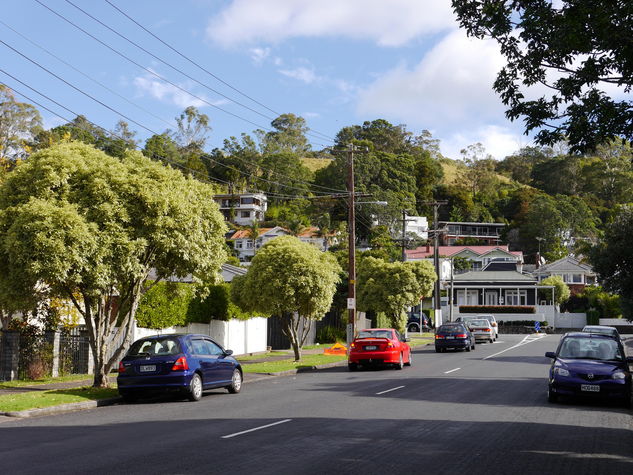 Mt Albert is a short walk away. This is a hidden gem with a 360 degree view of the Auckland area from the summit.