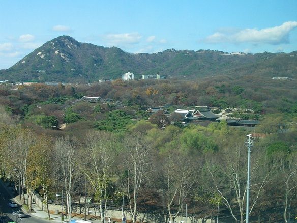 View from the apt window