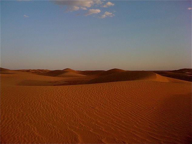 Sahara dunes