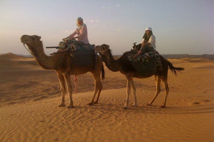 camel ride tour