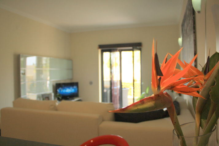 The living-room