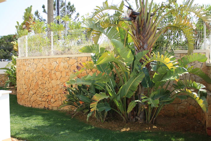Protected area