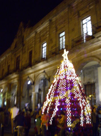 Stately buildings adorned with the Holiday spirit!