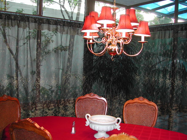 Dining room to back patio and yard