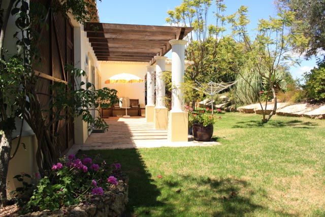 The terrace