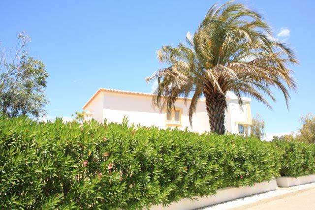 Local area