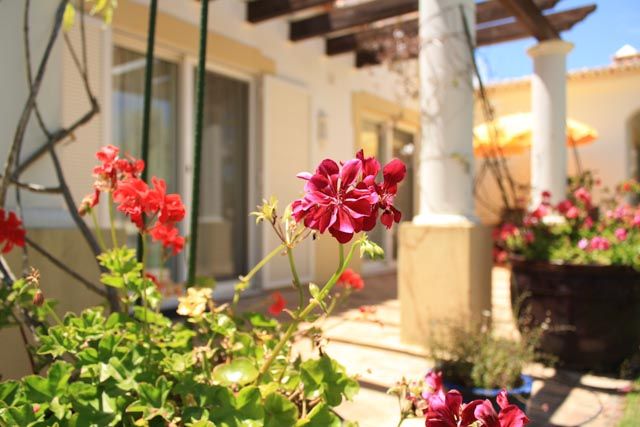 Algarve“s red