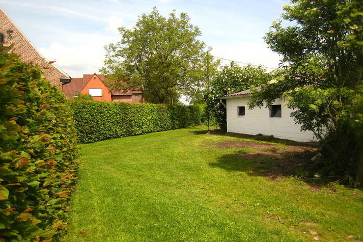 GardenSummer