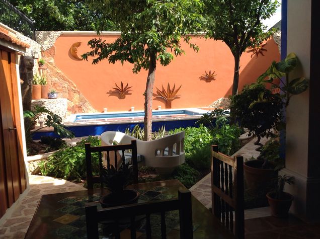View from Covered Patio