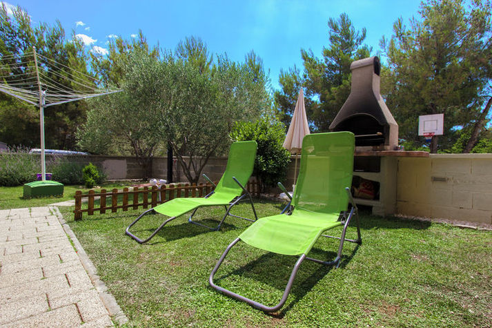 GardenSummer