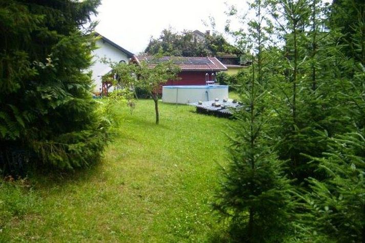 GardenSummer