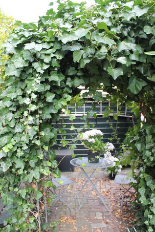 Little terrace