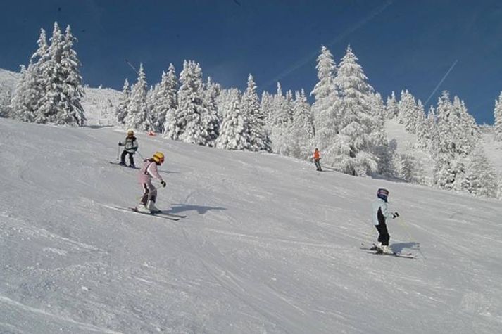 AreaWinter1KM