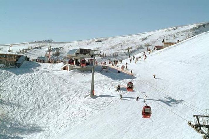 AreaWinter1KM