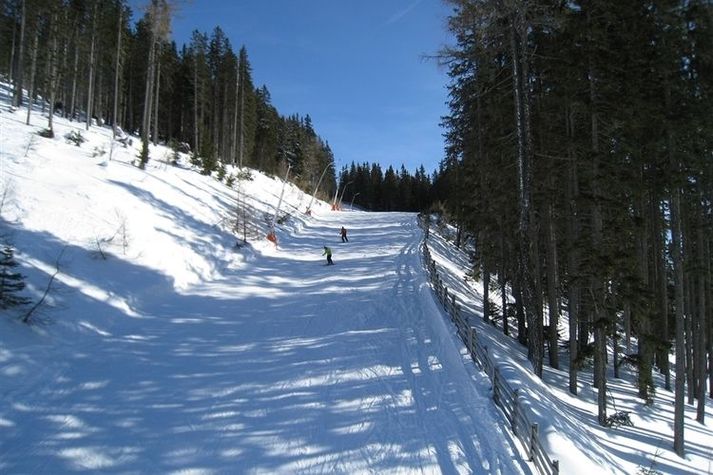 AreaWinter5KM