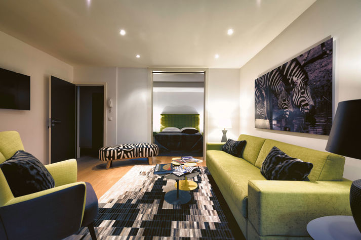 Living Room with High Quality Sofa Bed