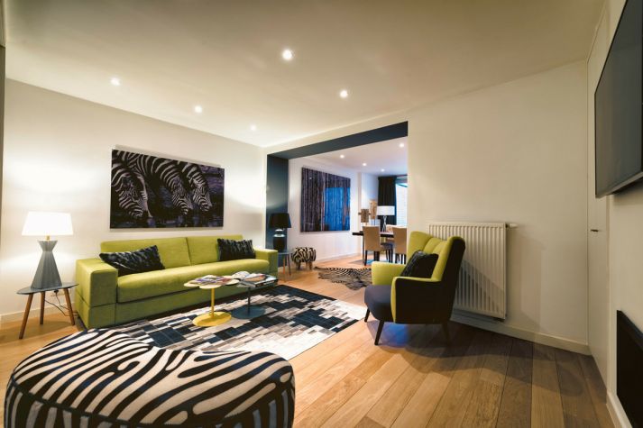 Living Room with High Quality Sofa Bed