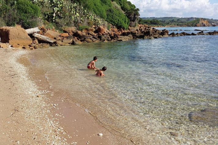 ViewSummer