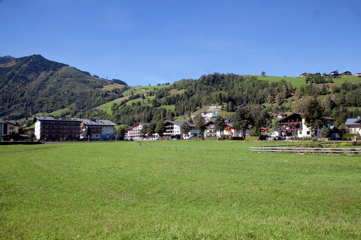 ViewSummer