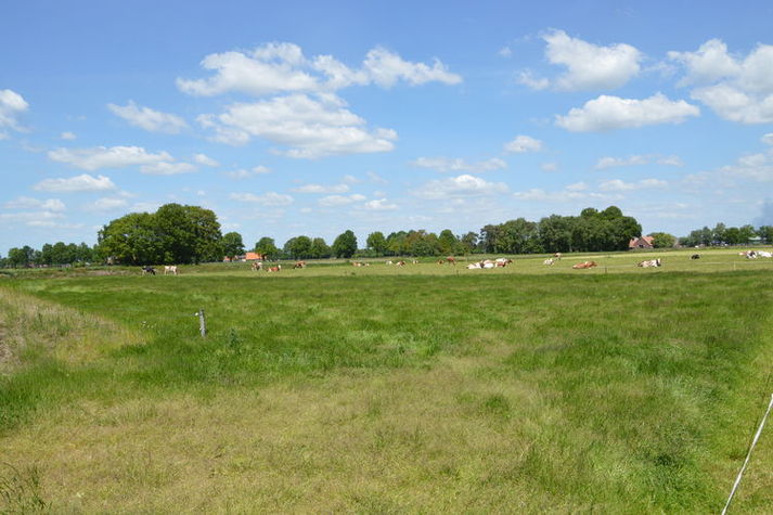 AreaSummer1KM