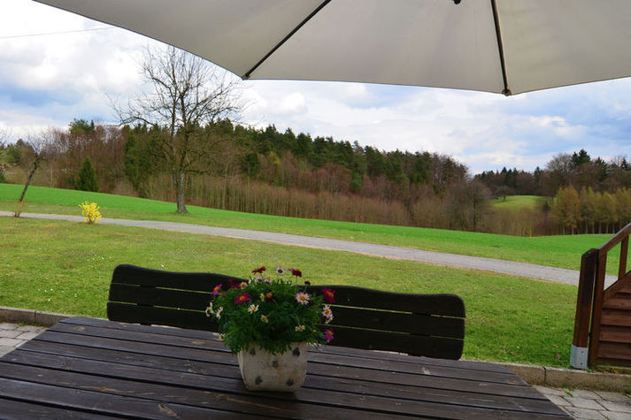 ViewSummer