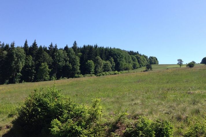 AreaSummer20KM