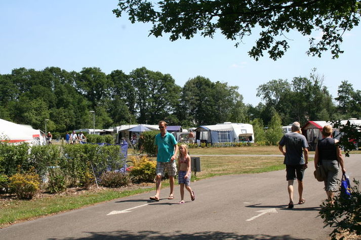 AreaSummer1KM