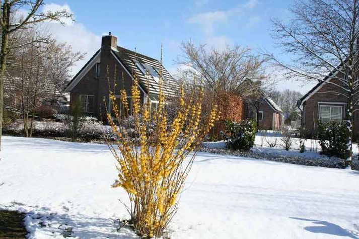 ExteriorWinter