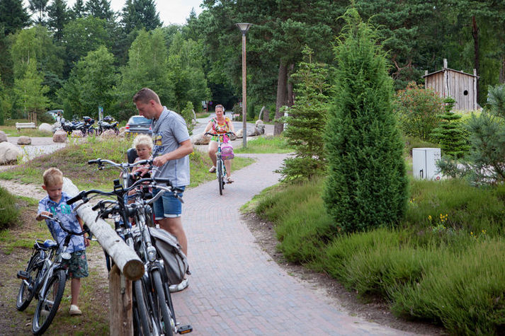 AreaSummer20KM