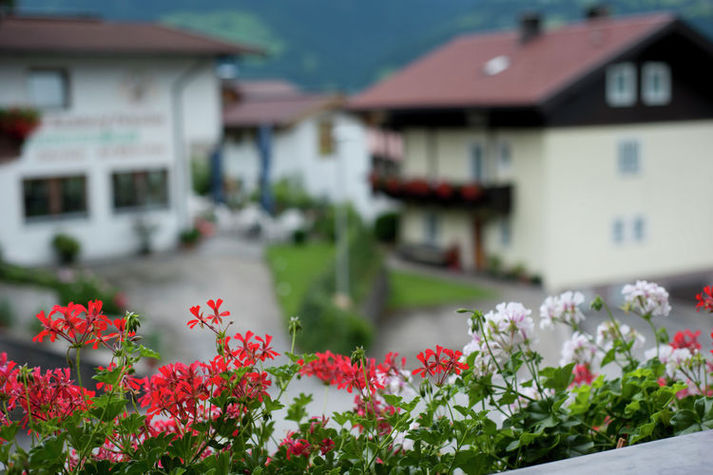 ViewSummer
