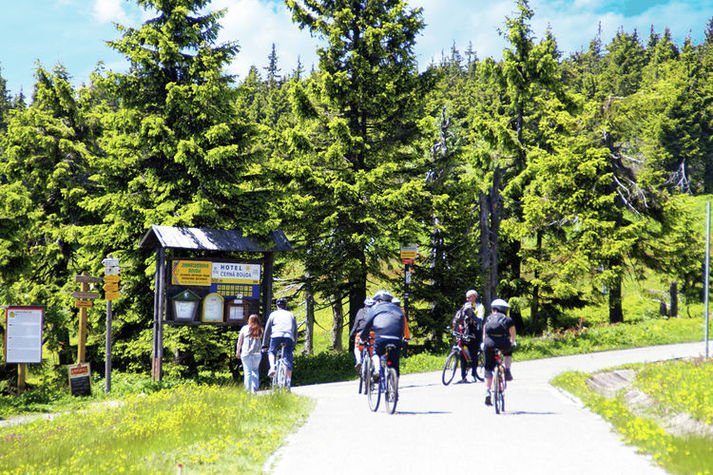 AreaSummer20KM