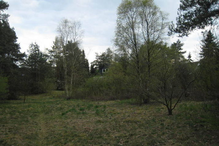 GardenSummer