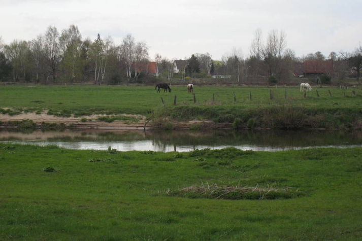 AreaSummer1KM