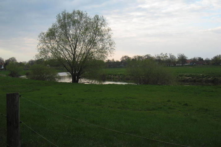 AreaSummer1KM
