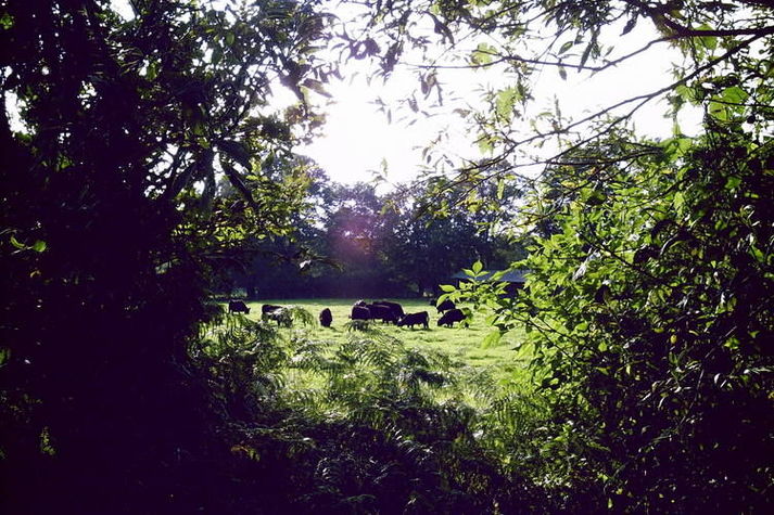 ExteriorSummer