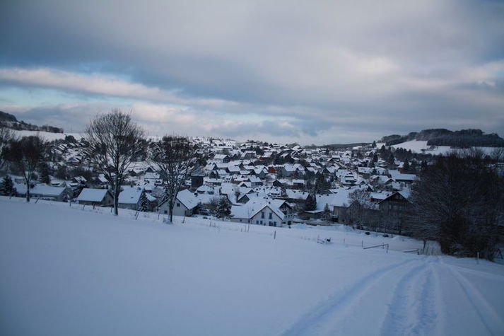 GardenWinter