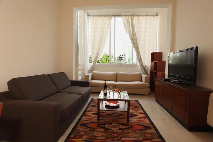 Living room + pull out sofa bed