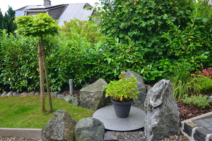 GardenSummer